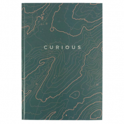 Книга обліку 96л клітинка А4 ламін. обкл. офсет EARTH COLORS Axent - Фото 10