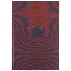 Книга обліку 96л клітинка А4 ламін. обкл. офсет EARTH COLORS Axent - Фото 10