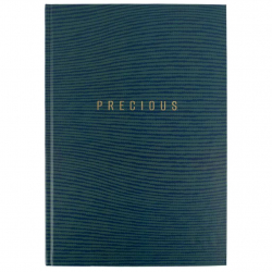 Книга обліку 96л клітинка А4 ламін. обкл. офсет EARTH COLORS Axent - Фото 10